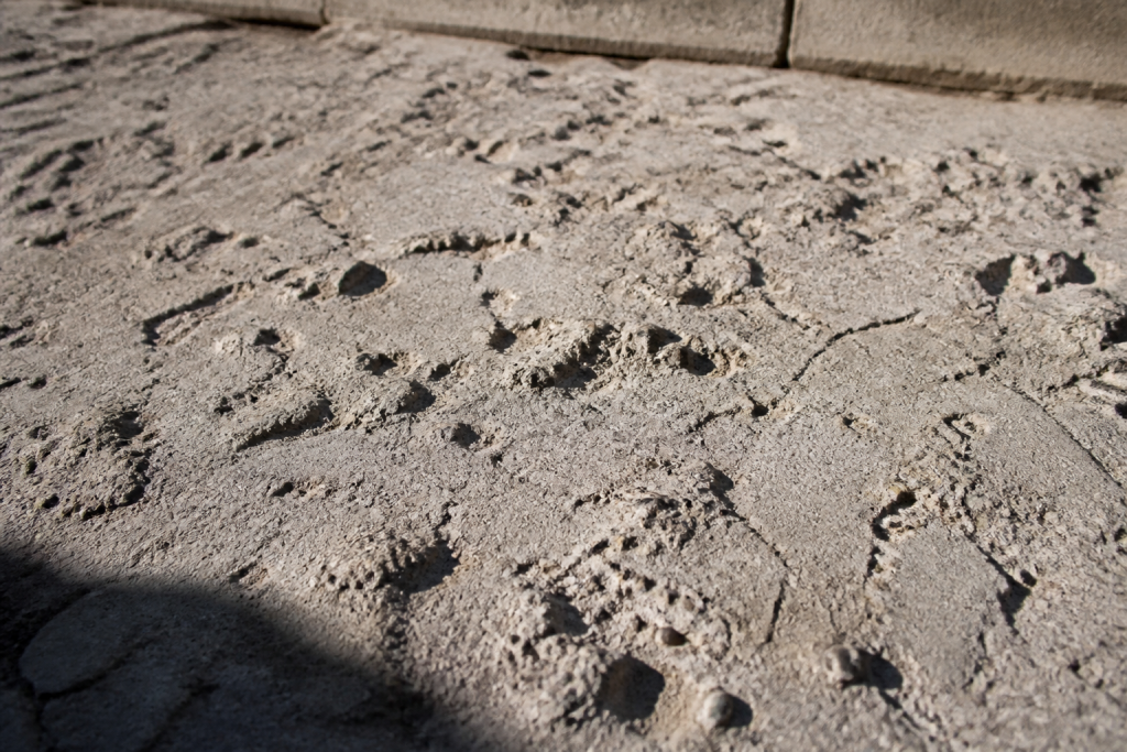Beton irregulier avec bosses marquees et asperites