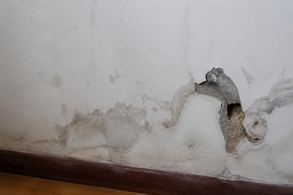 Mur endommage montrant zones humides et platre pele