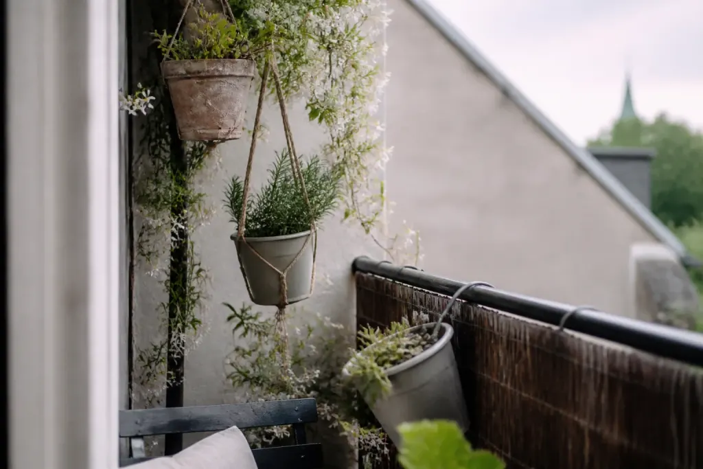 Balcon etroit avec pots suspendus et jasmin grimpant